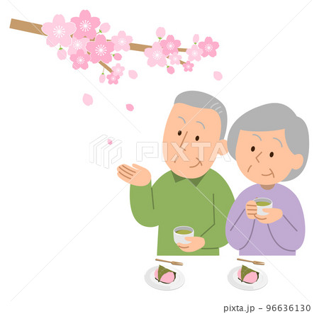 お花見するシニア夫婦 96636130