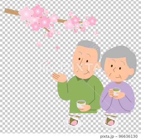 お花見するシニア夫婦 96636130
