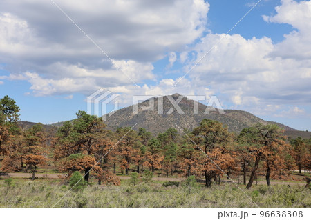 Sunset Volcano near Flagstaff Arizona 96638308
