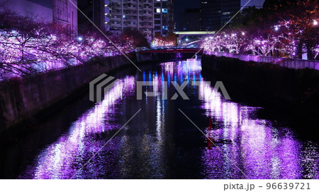 目黒川みんなのイルミネーションは、桜色LED全開モード 96639721