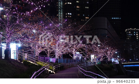 五反田ふれあい水辺広場は、ピンクの楽園 96640235