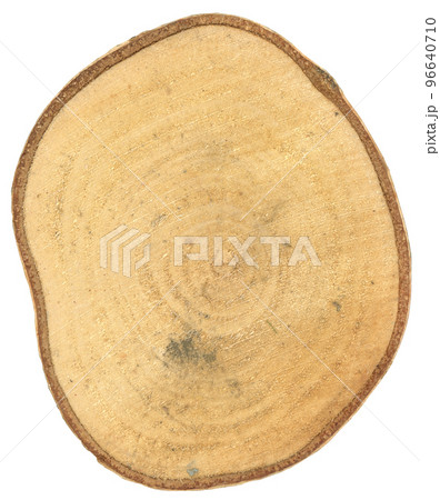 tree trunk cross section transparent PNG 96640710