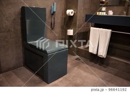 Close up of black flush toilet bowl in lavatory Close up of black flush toilet bowl in lavatory 96641192