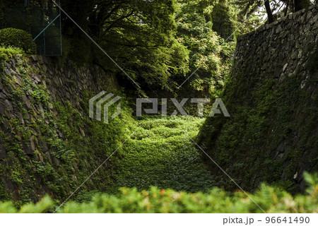 愛知県 名古屋城の苔むした石垣 愛知県 名古屋城の苔むした石垣 96641490