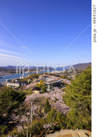 春の尾道　千光寺公園展望台からの桜と尾道水道 96641627