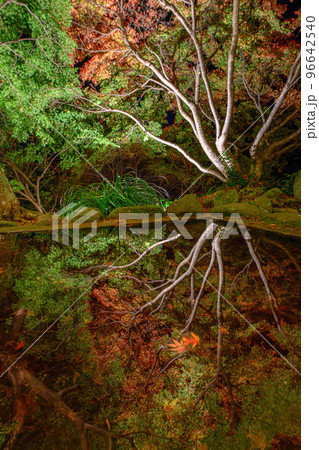 紅葉の庭園 三十路苑 長崎県雲仙市 紅葉の庭園 三十路苑 長崎県雲仙市 96642540