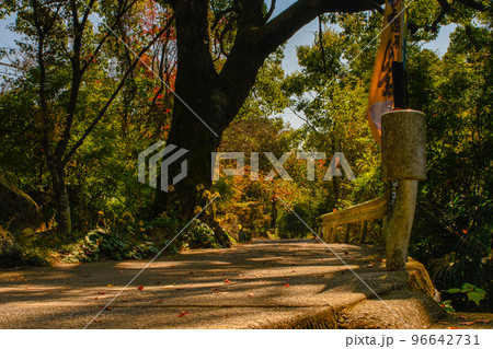 南島原の鮎帰りの滝・秋 南島原の鮎帰りの滝・秋 96642731
