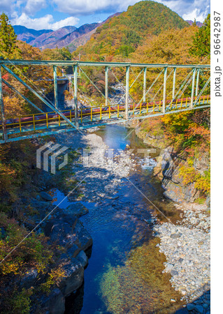 渡良瀬川　新渡良瀬橋から上流方面の眺め　秋の風景　 96642987