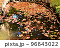 池に浮かぶ紅葉 96643022