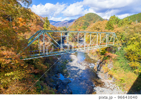 渡良瀬川　新渡良瀬橋から上流方面の眺め　秋の風景　 96643040