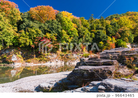 《埼玉県》秋の長瀞・紅葉の岩畳 96643465