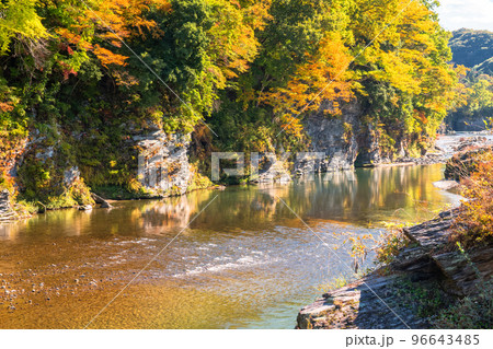 《埼玉県》秋の長瀞・紅葉の岩畳 《埼玉県》秋の長瀞・紅葉の岩畳 96643485