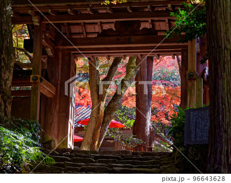 有馬温泉 旧瑞宝寺山門 (瑞宝寺公園) 96643628