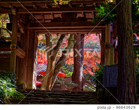 有馬温泉 旧瑞宝寺山門 (瑞宝寺公園) 有馬温泉 旧瑞宝寺山門 (瑞宝寺公園) 96643629