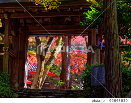有馬温泉 旧瑞宝寺山門 (瑞宝寺公園) 有馬温泉 旧瑞宝寺山門 (瑞宝寺公園) 96643630