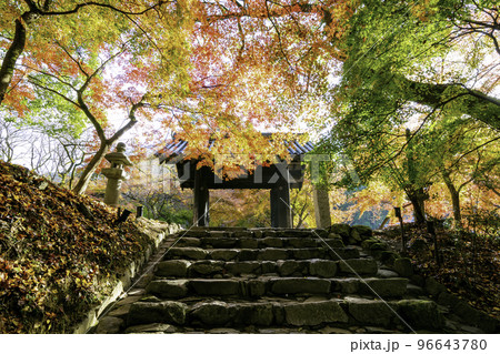 紅葉が美しい秋月城跡（福岡県朝倉市） 96643780