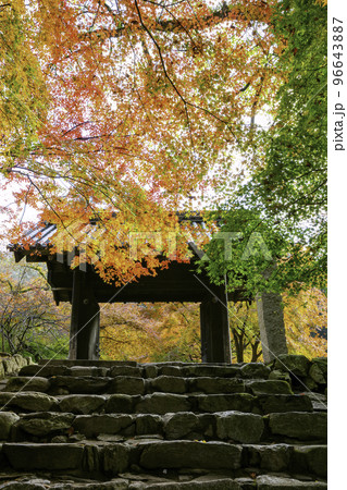 紅葉が美しい秋月城跡（福岡県朝倉市） 96643887