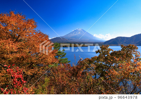 秋の風景 富士山と紅葉の本栖湖 山梨県の写真素材 [96643978] - PIXTA