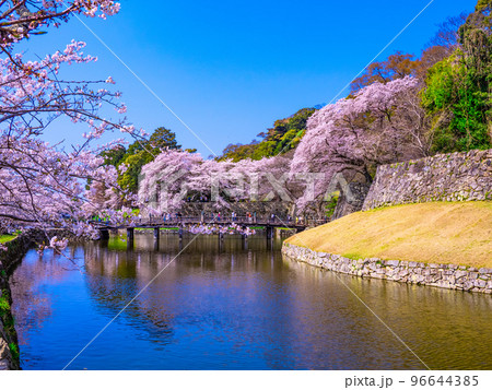 春爛漫の彦根城大手門橋と内濠 96644385