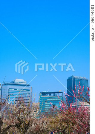 【大阪府】3月・大阪城公園とビジネスパークの高層ビル 【大阪府】3月・大阪城公園とビジネスパークの高層ビル 96644681