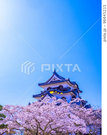 春爛漫の彦根城 96645215