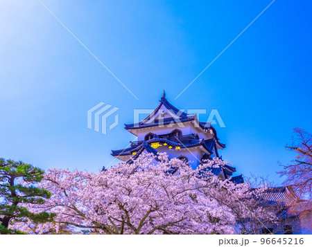 春爛漫の彦根城 96645216