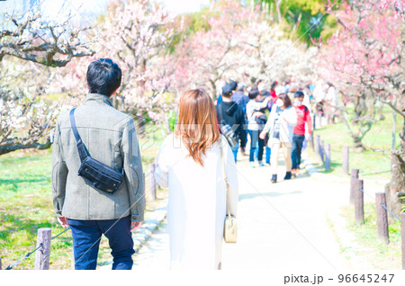 【大阪府】3月・大阪城公園に梅の花の見学に訪れた観光客 【大阪府】3月・大阪城公園に梅の花の見学に訪れた観光客 96645247