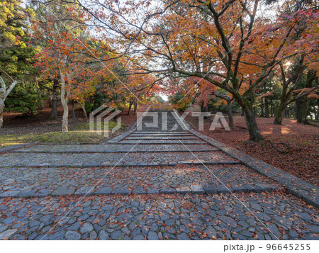 東大寺猫段と紅葉 東大寺猫段と紅葉 96645255