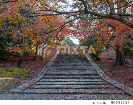 東大寺猫段と紅葉 東大寺猫段と紅葉 96645257