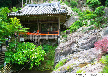 【瀬戸内三十三観音霊場】第十番　福生寺　西法院のアジサイと弁天堂1　岡山県備前市 96645535