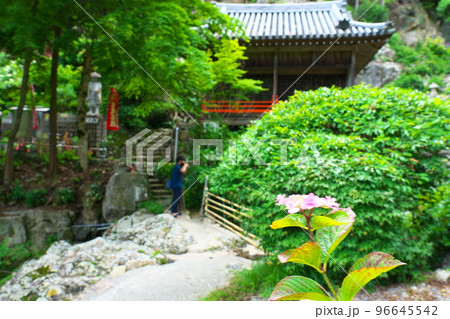 【瀬戸内三十三観音霊場】第十番　福生寺　西法院のアジサイと弁天堂4　岡山県備前市 96645542
