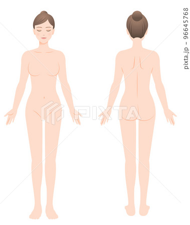 女性の裸体全身図 正面と背面 イラスト 脱毛/エステ/ダイエット 96645768