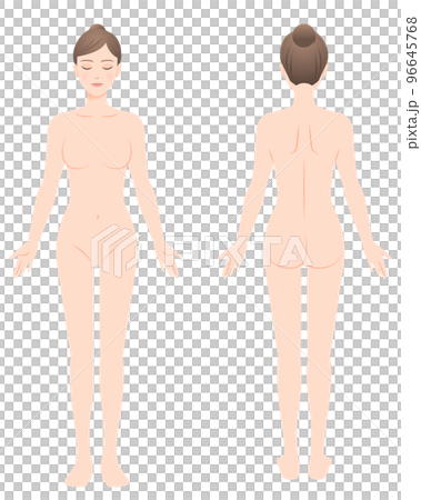 女性の裸体全身図 正面と背面 イラスト 脱毛/エステ/ダイエット 96645768