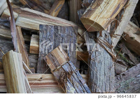 散らばった薪 散らばった薪 96645837