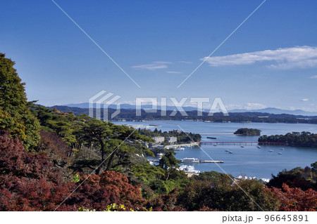 22026　松島　西行戻しの松公園から松島湾　紅葉 96645891