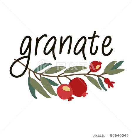 Pomegranate logo. Granate emblem. Vector garnet. 96646045