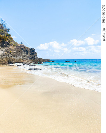 南伊豆の海（田牛海水浴場） 96646079