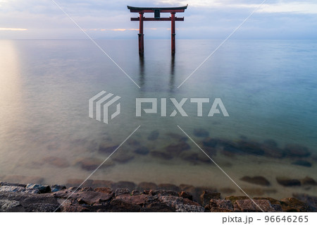 白鬚神社 琵琶湖 朝日 湖中大鳥居 白鬚神社 琵琶湖 朝日 湖中大鳥居 96646265