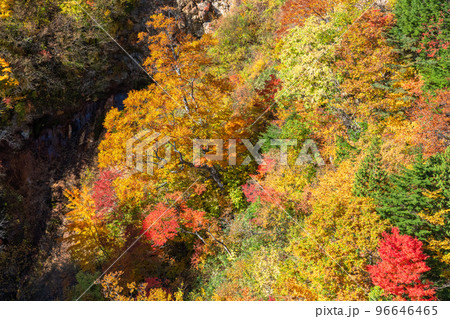 《福島県》つばくろ谷の紅葉・磐梯吾妻スカイライン 《福島県》つばくろ谷の紅葉・磐梯吾妻スカイライン 96646465