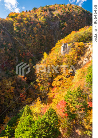 《福島県》つばくろ谷の紅葉・磐梯吾妻スカイライン 96646468