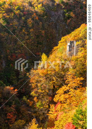 《福島県》つばくろ谷の紅葉・磐梯吾妻スカイライン 《福島県》つばくろ谷の紅葉・磐梯吾妻スカイライン 96646469