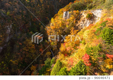《福島県》つばくろ谷の紅葉・磐梯吾妻スカイライン 《福島県》つばくろ谷の紅葉・磐梯吾妻スカイライン 96646471