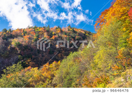 《福島県》つばくろ谷の紅葉・磐梯吾妻スカイライン 96646476