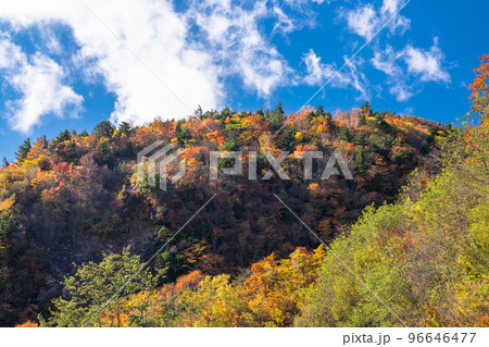 《福島県》つばくろ谷の紅葉・磐梯吾妻スカイライン 96646477