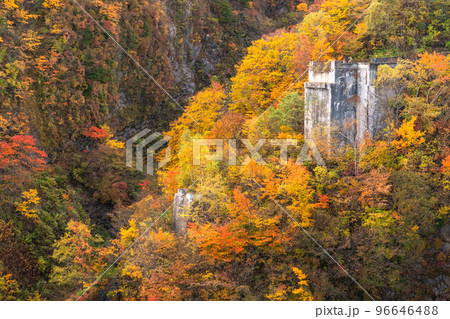 《福島県》つばくろ谷の紅葉・磐梯吾妻スカイライン 96646488