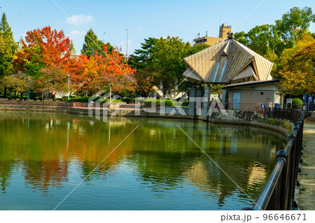 大阪市旭区の城北公園の紅葉 96646671