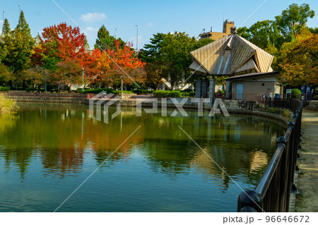大阪市旭区の城北公園の紅葉 96646672