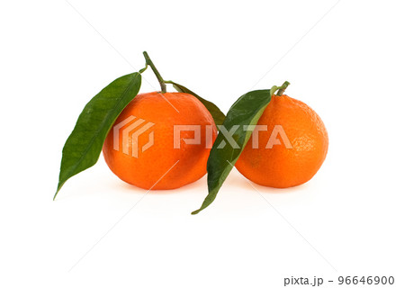 Mandarin orange, tangerines or clementines with leaves Mandarin orange, tangerines or clementines with leaves 96646900