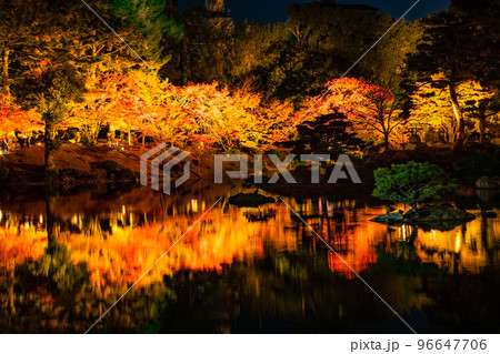国の名勝縮景園の紅葉ライトアップの風景をどうぞ。広島浅野藩主や上田宗箇ゆかりの庭園です。広島県 国の名勝縮景園の紅葉ライトアップの風景をどうぞ。広島浅野藩主や上田宗箇ゆかりの庭園です。広島県 96647706