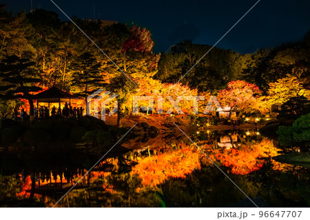 国の名勝縮景園の紅葉ライトアップの風景をどうぞ。広島浅野藩主や上田宗箇ゆかりの庭園です。広島県 96647707